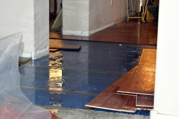 Professional Storm Water Damage Restoration technician working in Enumclaw, WA